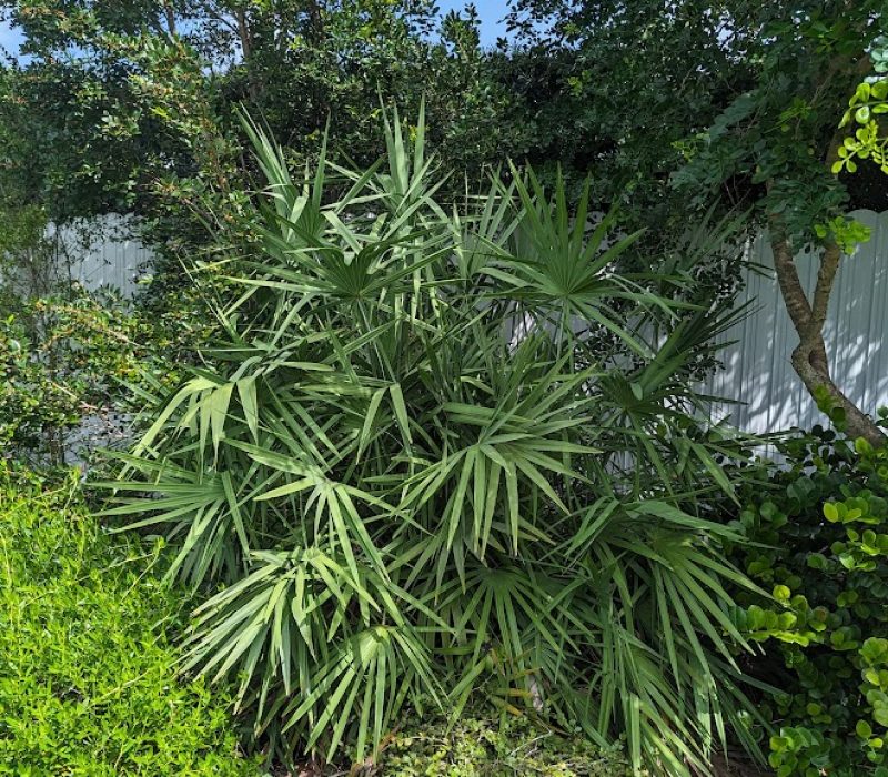 PXL_20231003_183214237
