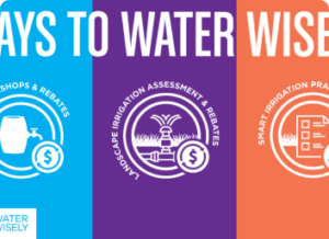 Save Water, Save Money: Your Guide to Miami-Dade Water Restrictions and Irrigation Savings