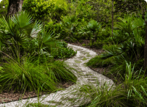 Want a Low-Maintenance, Thriving Landscape? Here’s the Secret!